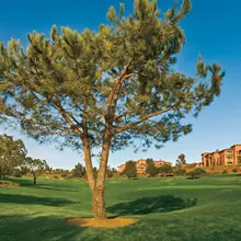 San Diego Top Stay and Play Golf Packages