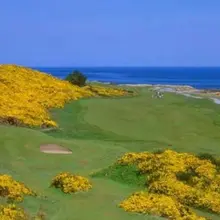 Scotland Golf "Tours of Champions"